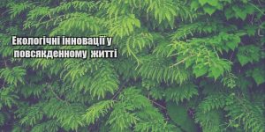 ekologichni innovacziyi u povsyakdennomu zhytti
