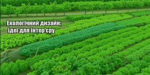 ekologichnyj dyzajn ideyi dlya interyeru