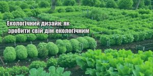 ekologichnyj dyzajn yak zrobyty svij dim ekologichnym