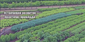 ustojchyvyj rozvytok praktychni pryklady