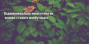 vidnovlyuvalna energetyka yak osnova stalogo majbutnogo