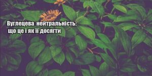vugleczeva nejtralnist shho cze i yak yiyi dosyagty