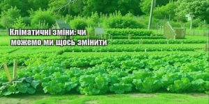 klimatychni zminy chy mozhemo my shhos zminyty