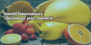 ohorona navkolyshnogo seredovyshha rol tehnologij