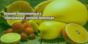 ohorona navkolyshnogo seredovyshha uspishni pryklady
