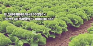 vidnovlyuvalni resursy chomu cze majbutnye energetyky