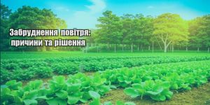 zabrudnennya povitrya prychyny ta rishennya