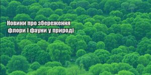 novyny pro zberezhennya flory i fauny u pryrodi