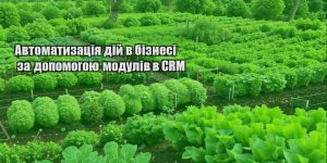 avtomatyzacziya dij v biznesi za dopomogoyu moduliv v crm