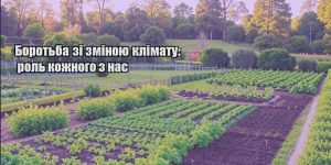 borotba zi zminoyu klimatu rol kozhnogo z nas