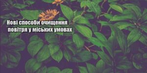 novi sposoby ochyshhennya povitrya u miskyh umovah