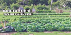 novyny pro ekologichni proekty v nashij krayini