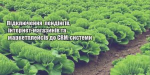 pidklyuchennya lendingiv internet magazyniv ta marketplejsiv do crm systemy