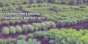 ekoinicziatyvy v shkolah shho roblyat vchyteli i dity