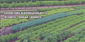 ekologichna vidpovidalnist biznesu trendy i vymogy