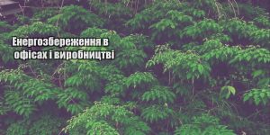 energozberezhennya v ofisah i vyrobnycztvi