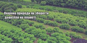 ohorona pryrody yak zberegty dovkillya na planeti