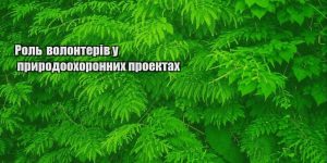 rol volonteriv u pryrodoohoronnyh proektah