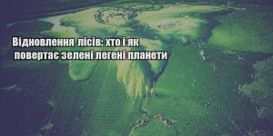vidnovlennya lisiv hto i yak povertaye zeleni legeni planety