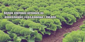 vplyv himichnyh rechovyn na navkolyshnye seredovyshhe i lyudej