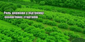 rol derzhavy u pidtrymczi ekologichnyh startapiv