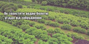 yak zahystyty vodno bolotni ugiddya vid zabrudnennya