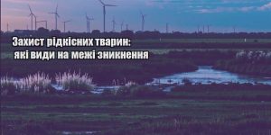 zahyst ridkisnyh tvaryn yaki vydy na mezhi znyknennya