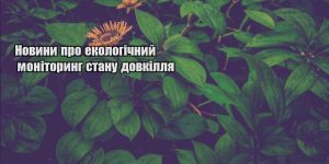 novyny pro ekologichnyj monitoryng stanu dovkillya