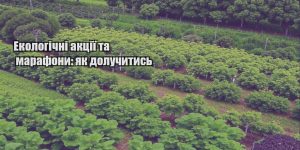 ekologichni akcziyi ta marafony yak doluchytys