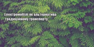 elektromobili yak alternatyva tradyczijnomu transportu