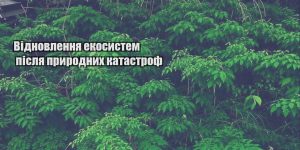 vidnovlennya ekosystem pislya pryrodnyh katastrof
