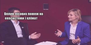 vplyv lisovyh pozhezh na ekosystemy i klimat