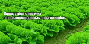 vplyv zminy klimatu na silskogospodarsku produktyvnist