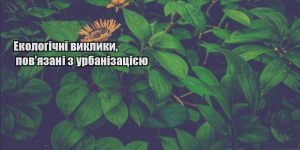 ekologichni vyklyky povyazani z urbanizacziyeyu
