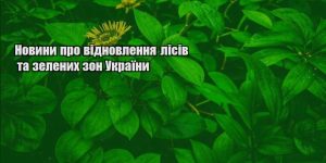 novyny pro vidnovlennya lisiv ta zelenyh zon ukrayiny