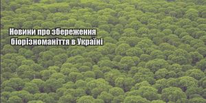 novyny pro zberezhennya bioriznomanittya v ukrayini