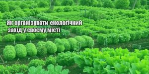 yak organizuvaty ekologichnyj zahid u svoyemu misti