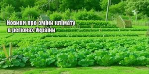 novyny pro zminy klimatu v regionah ukrayiny