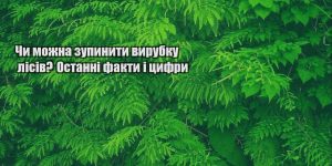 chy mozhna zupynyty vyrubku lisiv ostanni fakty i czyfry