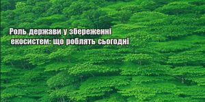rol derzhavy u zberezhenni ekosystem shho roblyat sogodni