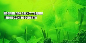 novyny pro zahyst tvaryn i pryrodni rezervaty