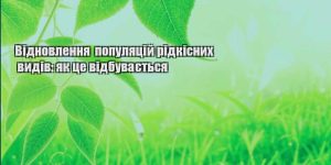 vidnovlennya populyaczij ridkisnyh vydiv yak cze vidbuvayetsya