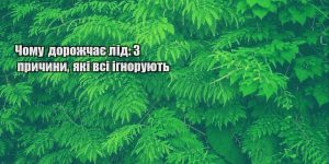 chomu dorozhchaye lid 3 prychyny yaki vsi ignoruyut