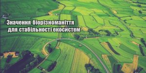 znachennya bioriznomanittya dlya stabilnosti ekosystem