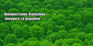 vykorystannya biopalyva perevagy ta nedoliky