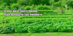 zeleni investycziyi v ukrayini kudy vkladaty i shho ochikuvaty