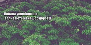 novyny dovkillya shho vplyvayut na nashe zdorovya