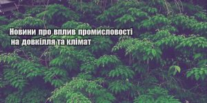 novyny pro vplyv promyslovosti na dovkillya ta klimat
