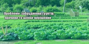 problemy zabrudnennya gruntiv prychyny ta shlyahy vyrishennya