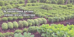 yak ekologichnyj dyzajn zminyuye miski prostory